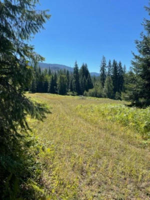 TBD LOT 11 N LECLERC RD, IONE, WA 99139, photo 5 of 22