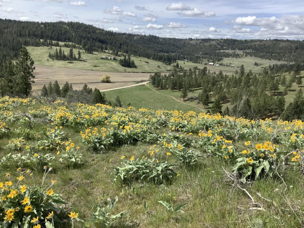 X EGYPT LOOP RD. E., DAVENPORT, WA 99122, photo 1 of 9