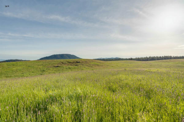 3737 C E JUMP OFF RD # LOT 4, VALLEY, WA 99181 - Image 1
