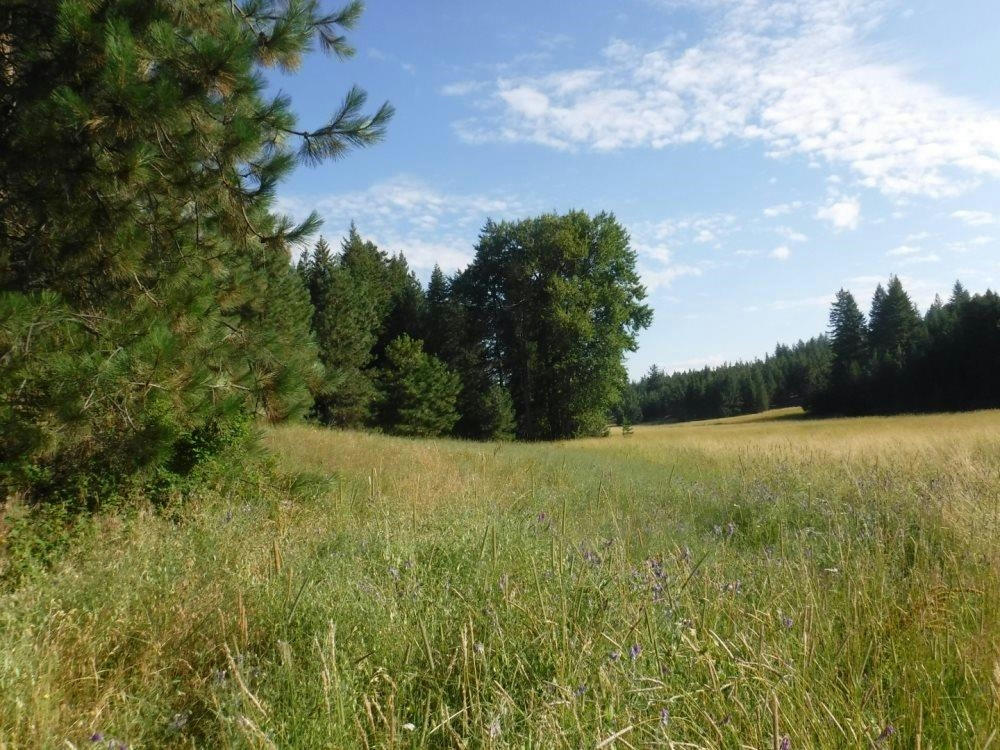 LOT 1 SW MOOSE RIDGE WAY, LOON LAKE, WA 99148, photo 1 of 13