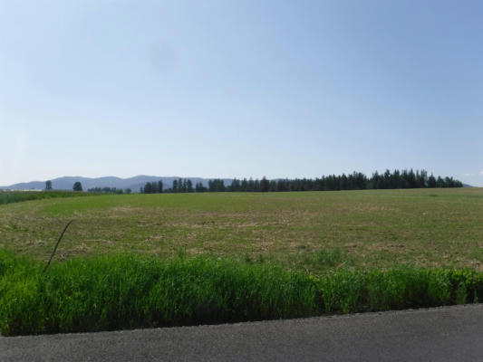 LOT 1 SPOTTED RD, DEER PARK, WA 99006, photo 2 of 4