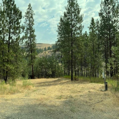 LOT 2 SCOTCH BROOM LN, DAVENPORT, WA 99122 - Image 1