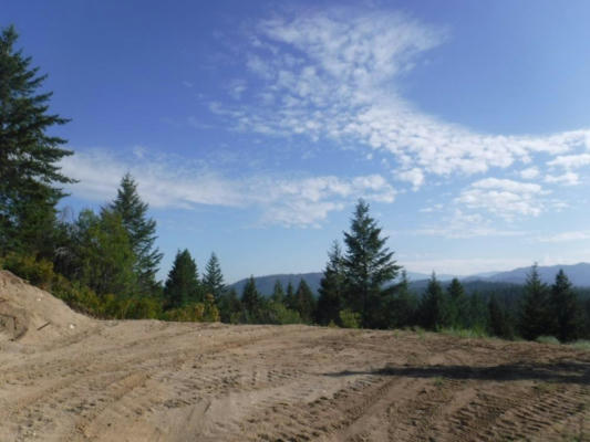 LOT 1 SW MOOSE RIDGE WAY, LOON LAKE, WA 99148, photo 3 of 13