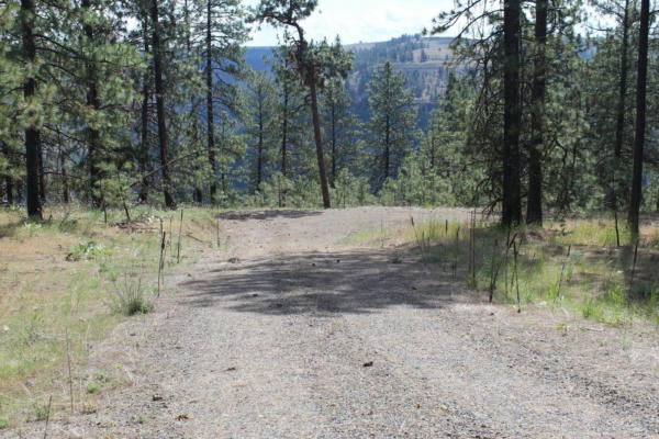 LOT 4 FLICKER SONTAG RIDGE LN, DAVENPORT, WA 99122, photo 2 of 25