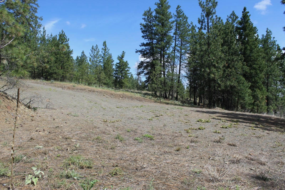 LOT 4 FLICKER SONTAG RIDGE LN, DAVENPORT, WA 99122, photo 1 of 25