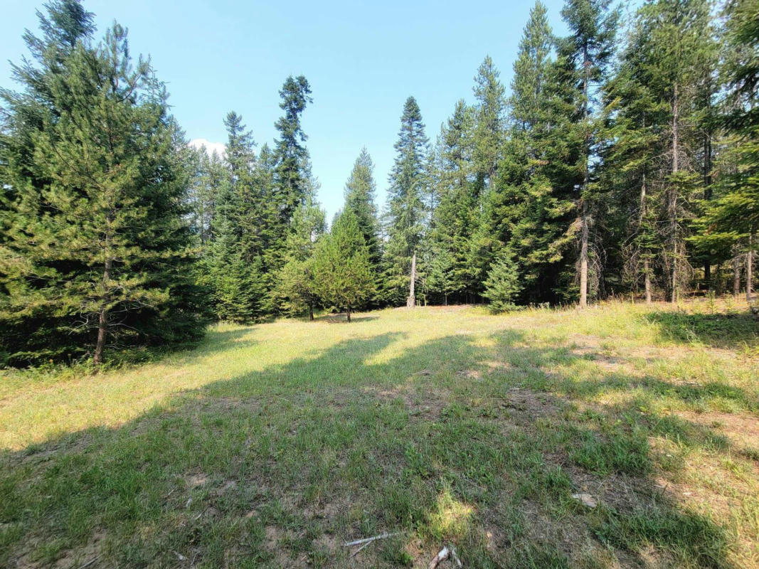 TBD FIR DR, CUSICK, WA 99119, photo 1 of 29