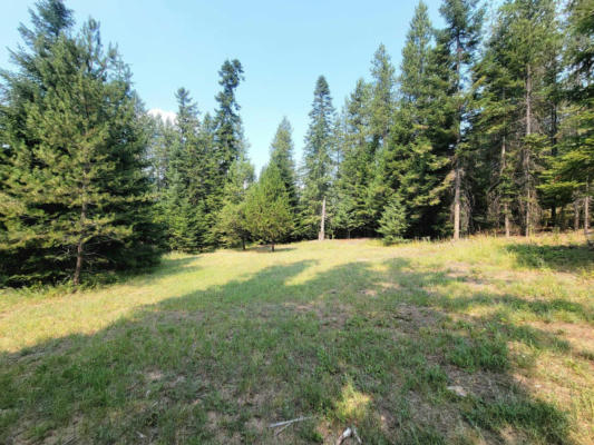 TBD FIR DR, CUSICK, WA 99119 - Image 1